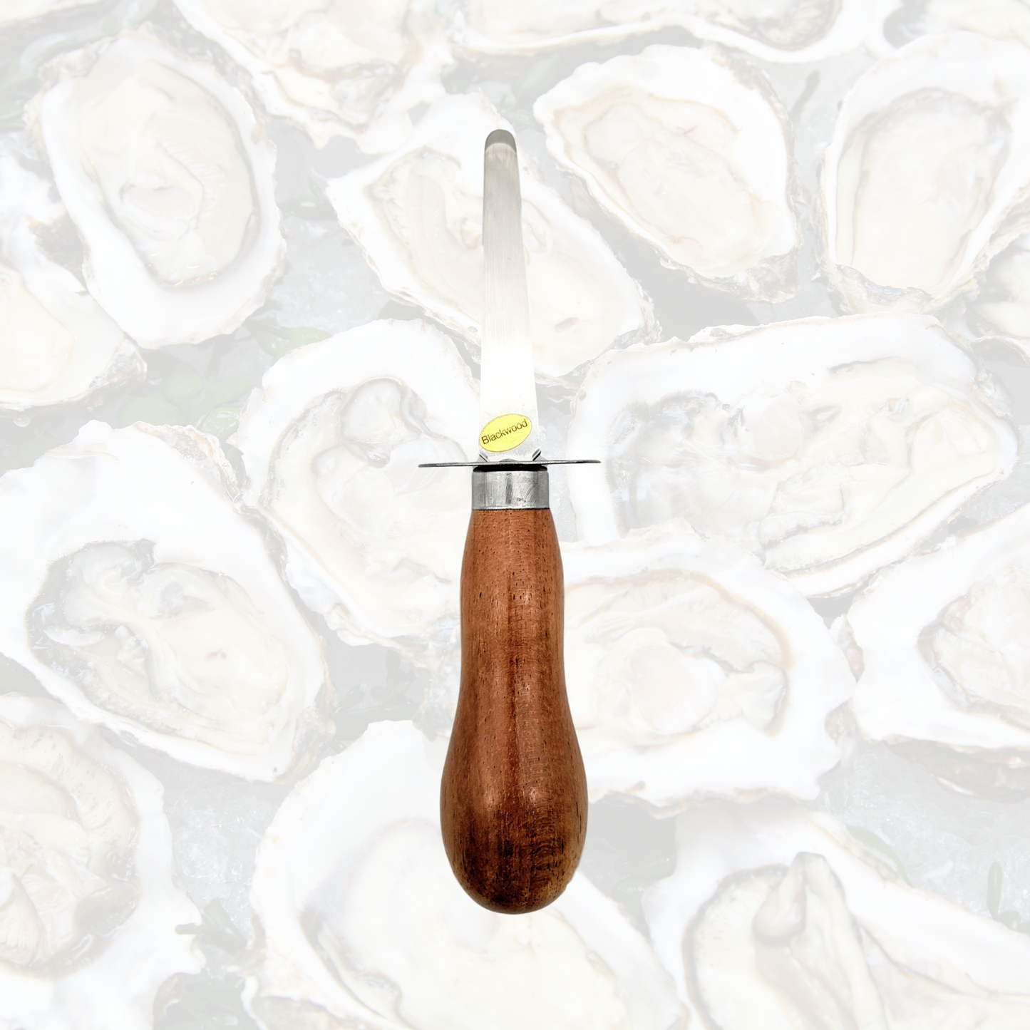 Oyster Shucker