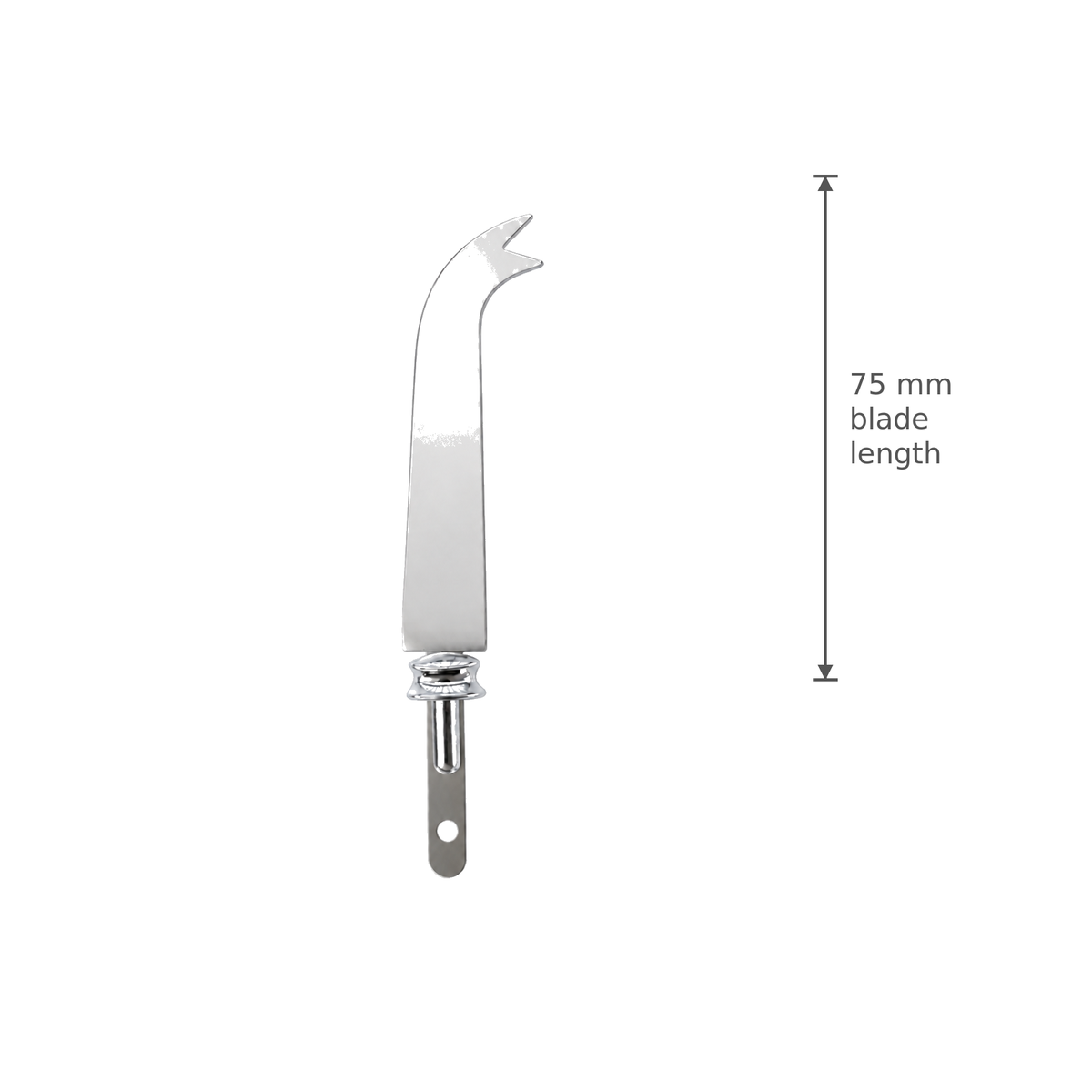 Small Cheese Knife Blade