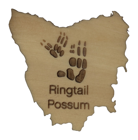 A Little Bit of Tassie